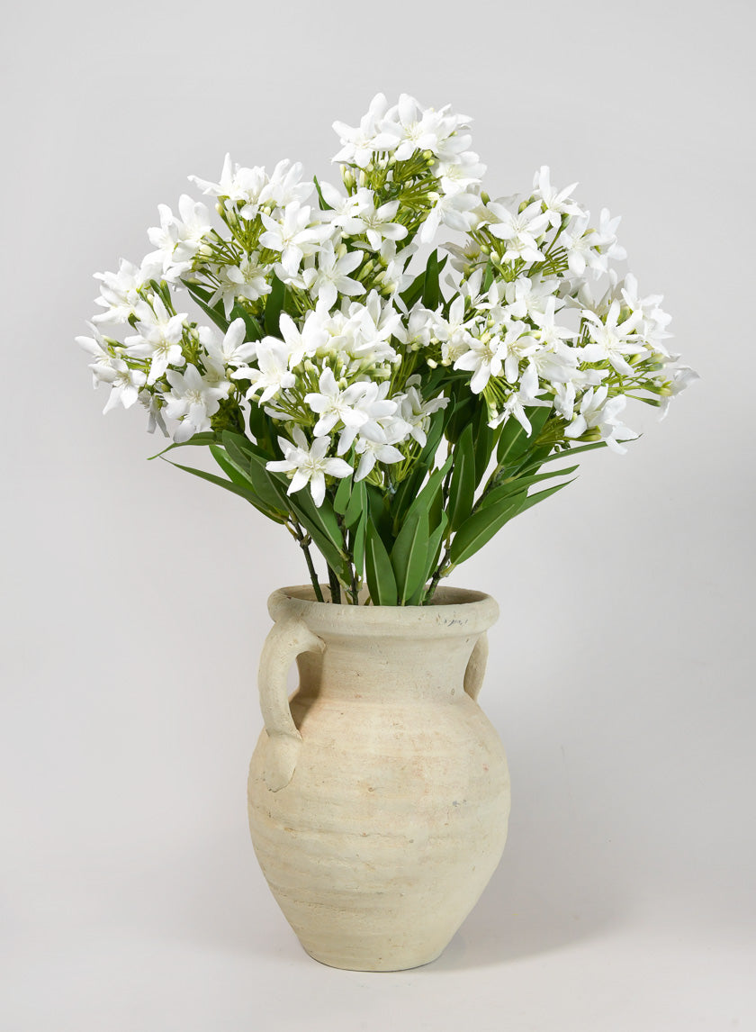36in Long Blooming Stephanotis Branch