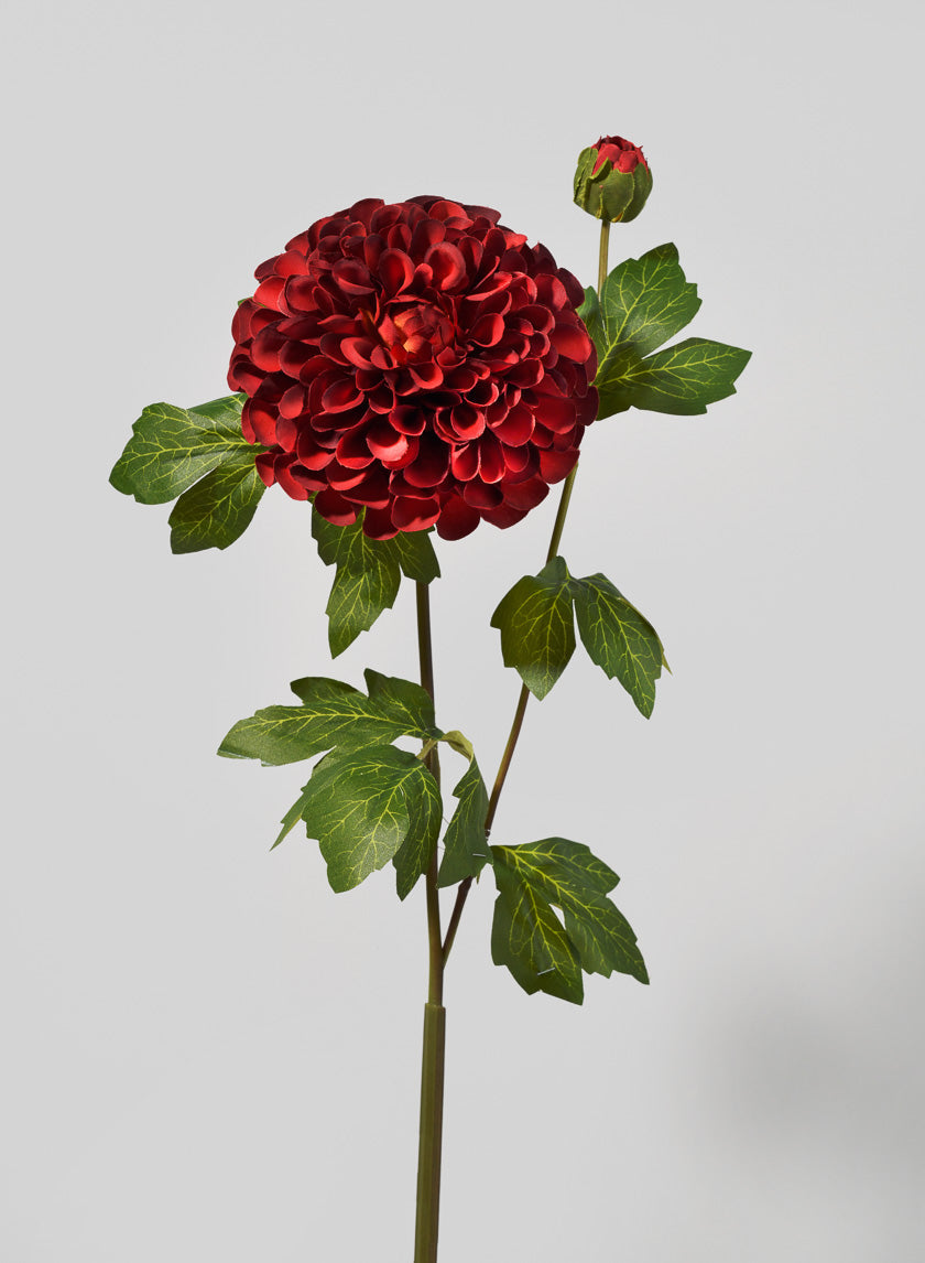32in Long Red Dahlia Stem