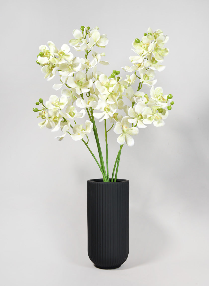33in Long Green Double Orchid Stem