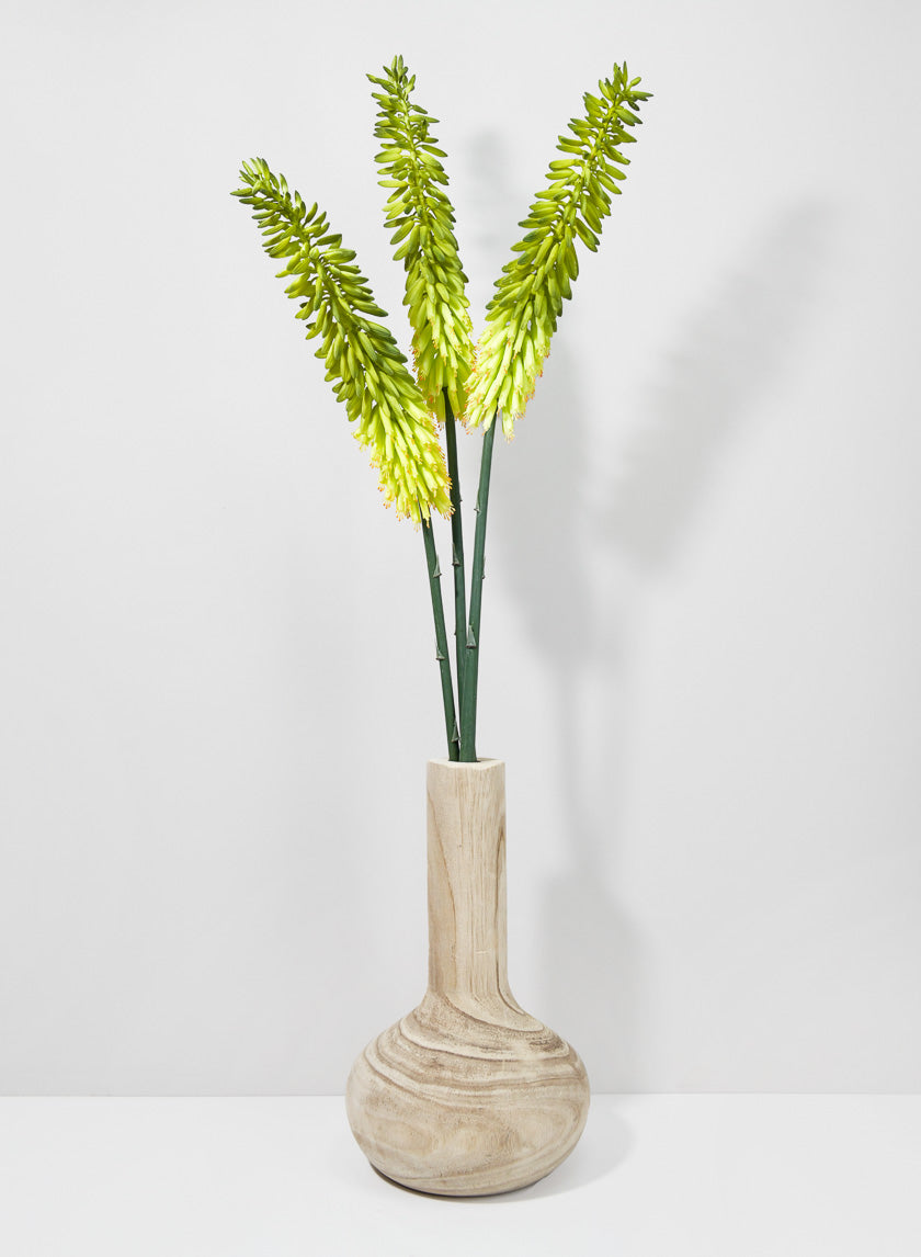 34in Long Cape Aloe Flower, Green