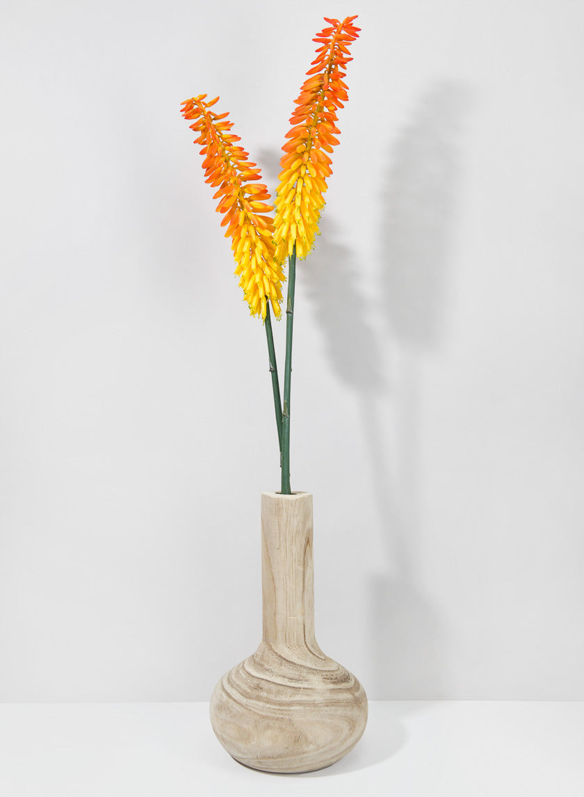 34in Long Cape Aloe Flower, Orange