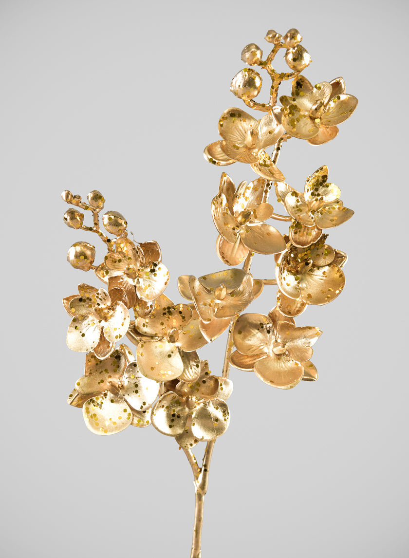 25in Long Gold Phalaenopsis Orchid Spray, Case of 12