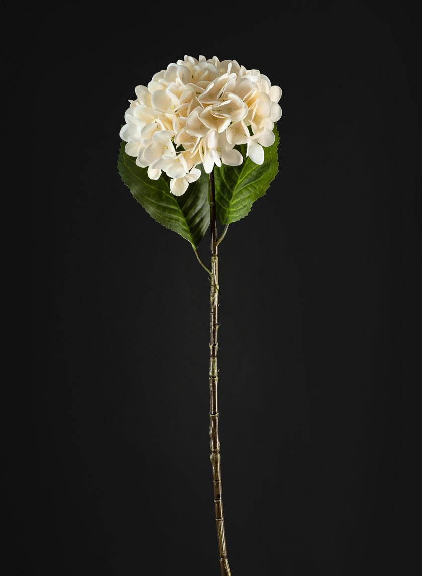 22in Long White Hydrangea Spray, Case of 12