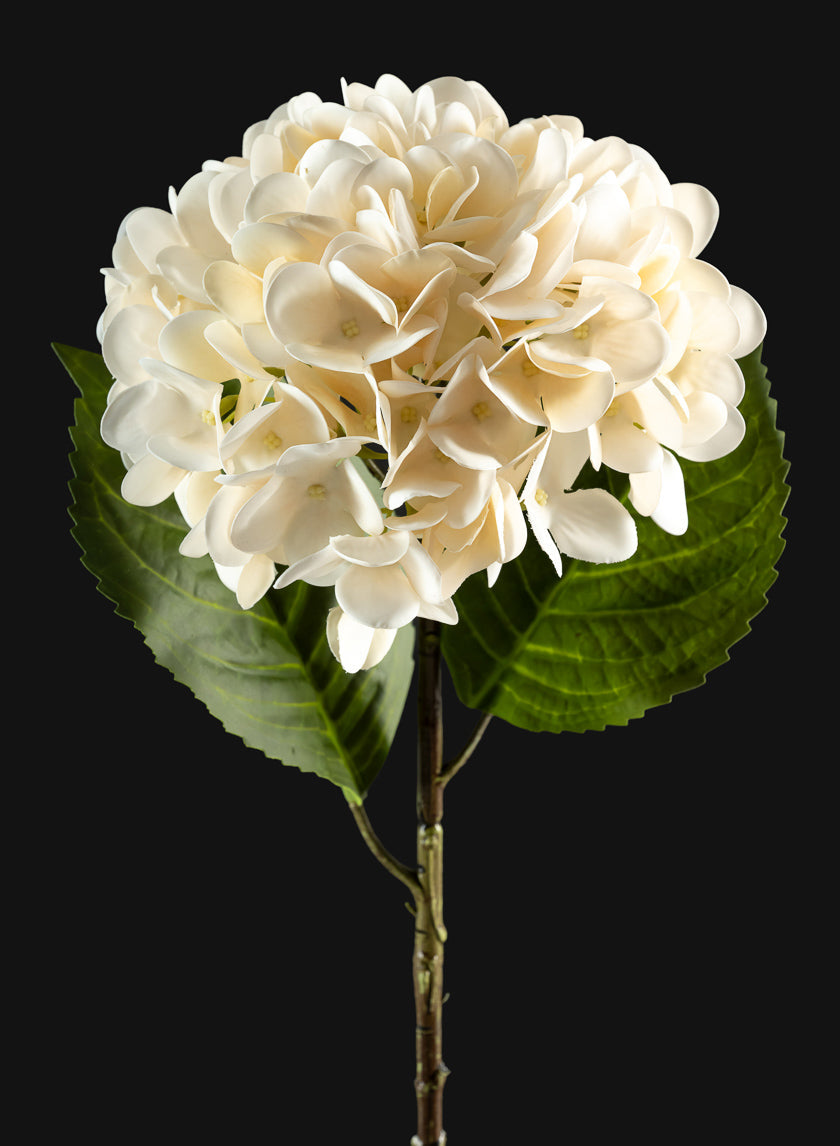 22in Long White Hydrangea Spray, Case of 12