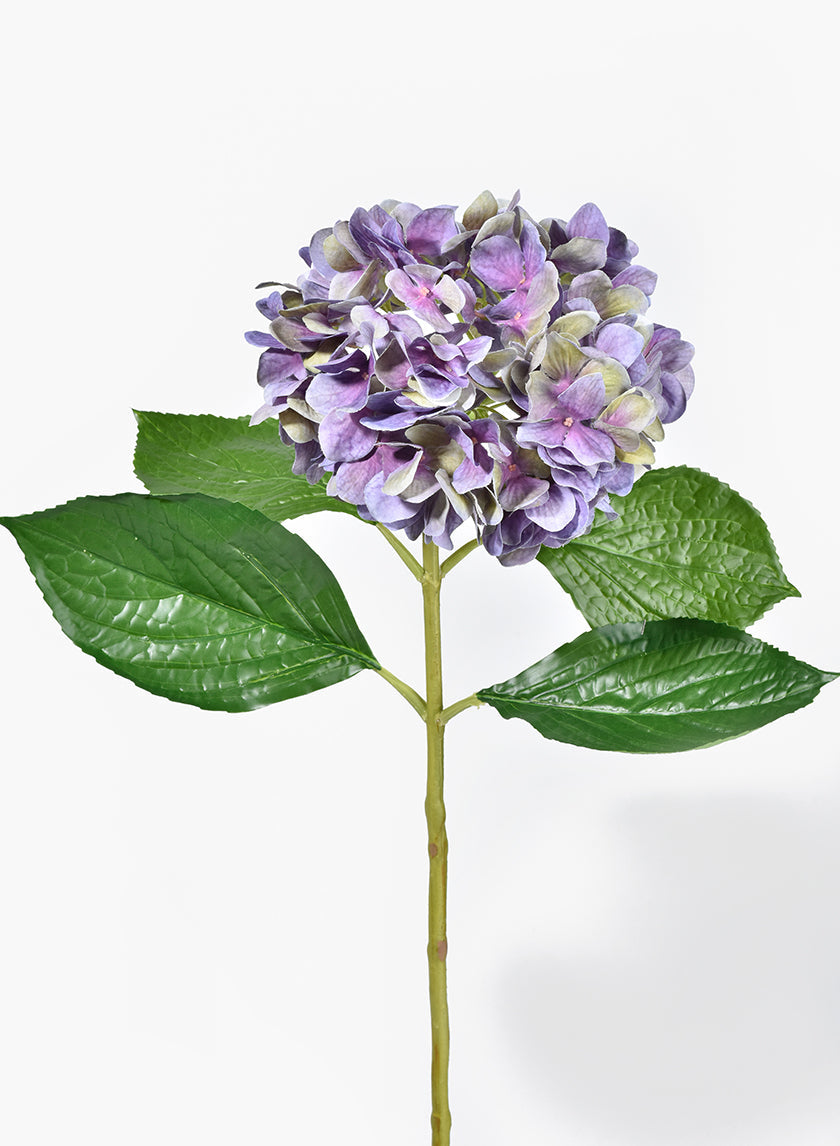 28in Long Antique Purple Hydrangea, Case of 12