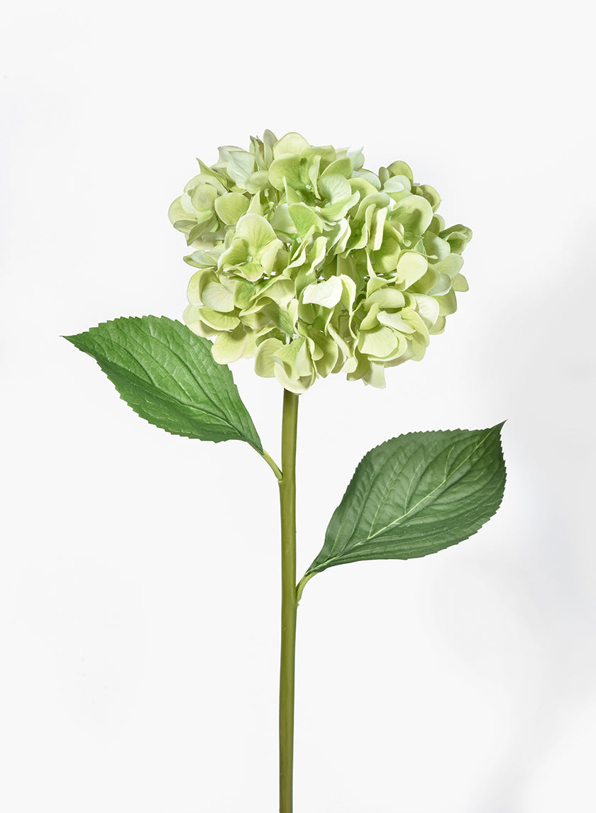 27in Long Antique Green Hydrangea, Case of 12