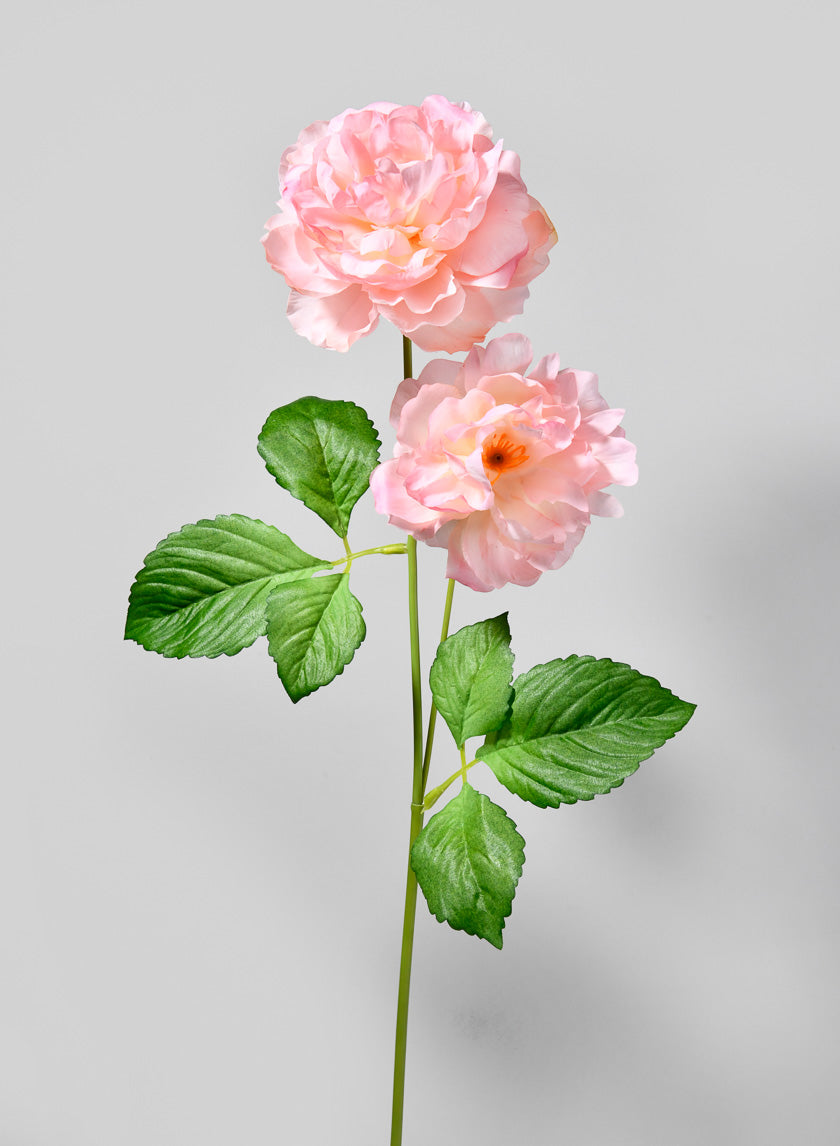 33in Long Light Pink Peony Spray