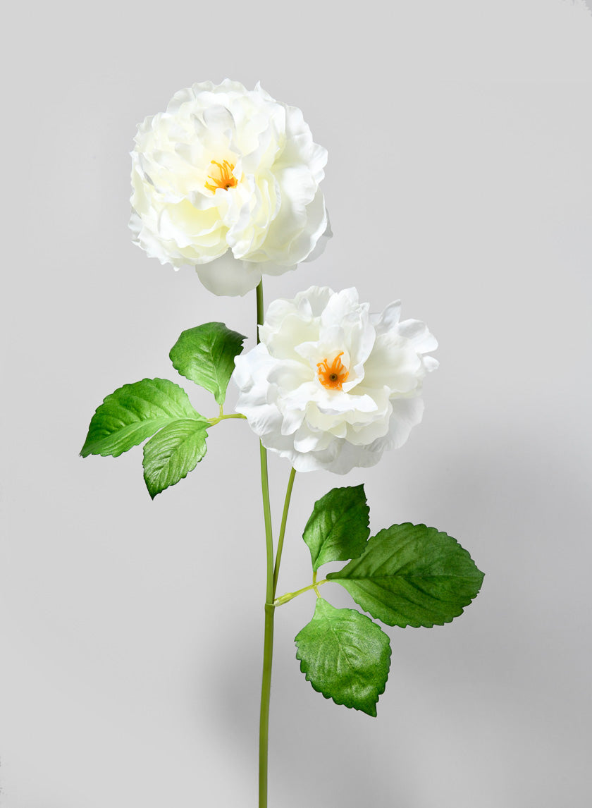33in Long White Peony Spray