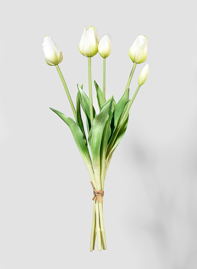 19in Long Cream Tulip Bunch