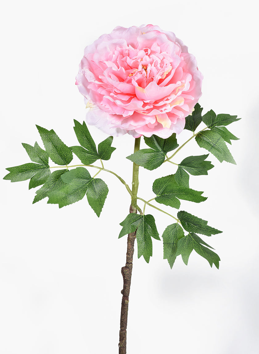 26in Long Pink Peony Stem