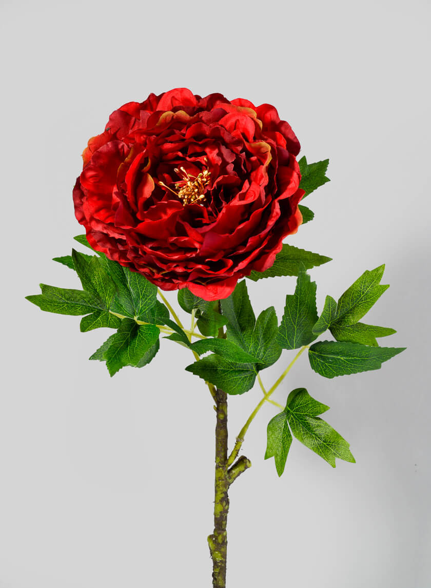 26in Long Red Charm Peony Stem