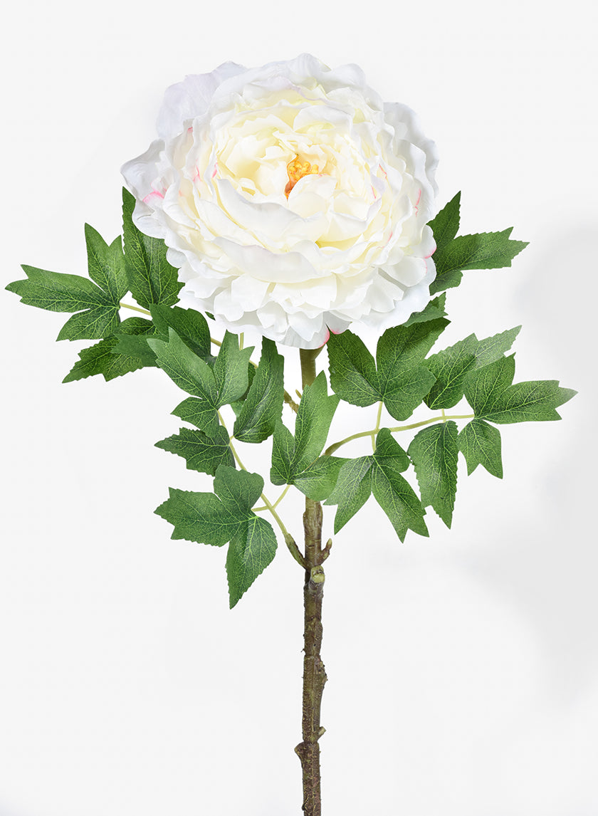 26in Long White Peony Stem