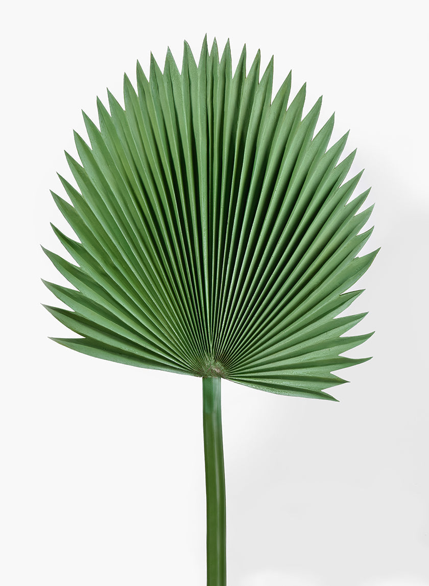47in Long Ruffled Fan Palm Leaf