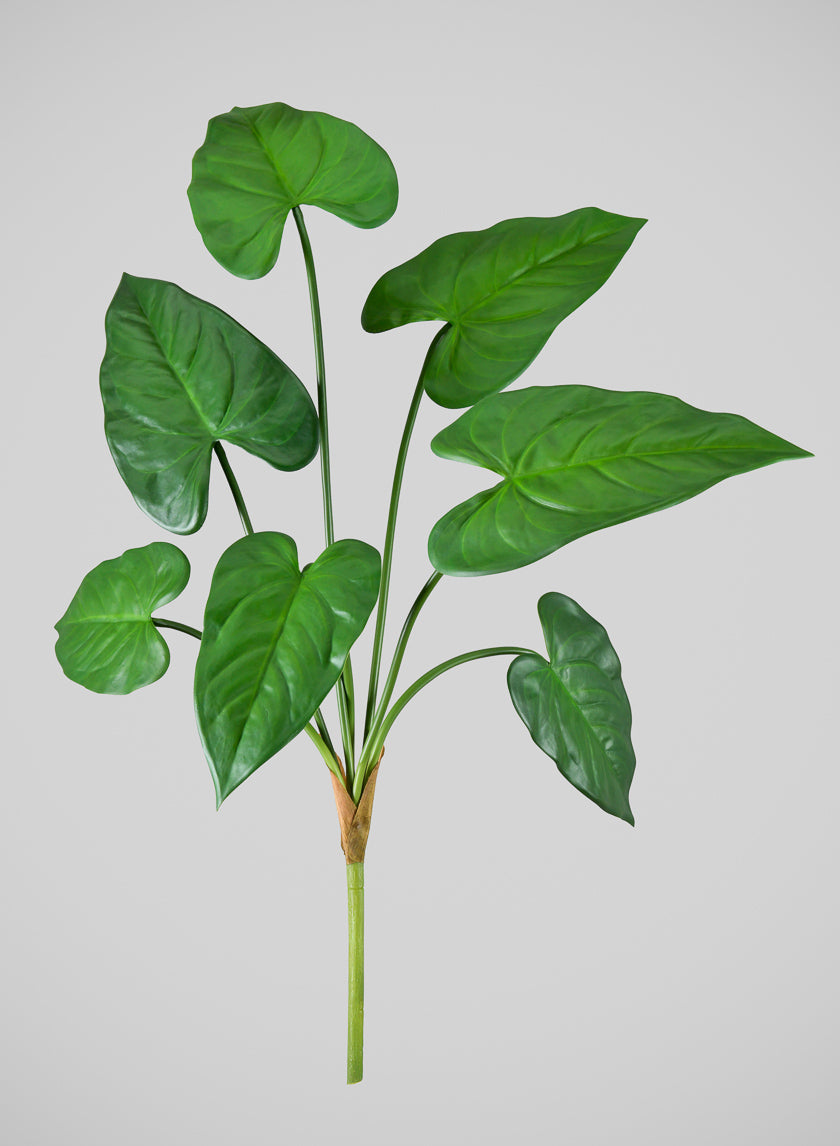 27in Long Green Anthurium Leaf Spray, Case of 12