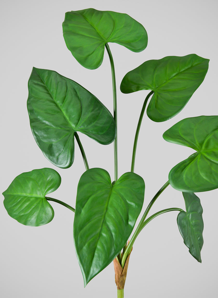 27in Long Green Anthurium Leaf Spray, Case of 12