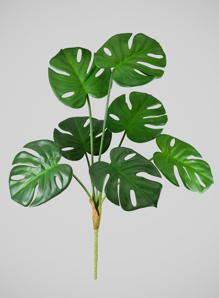 27in Long Green Monstera Leaf Spray, Case of 12