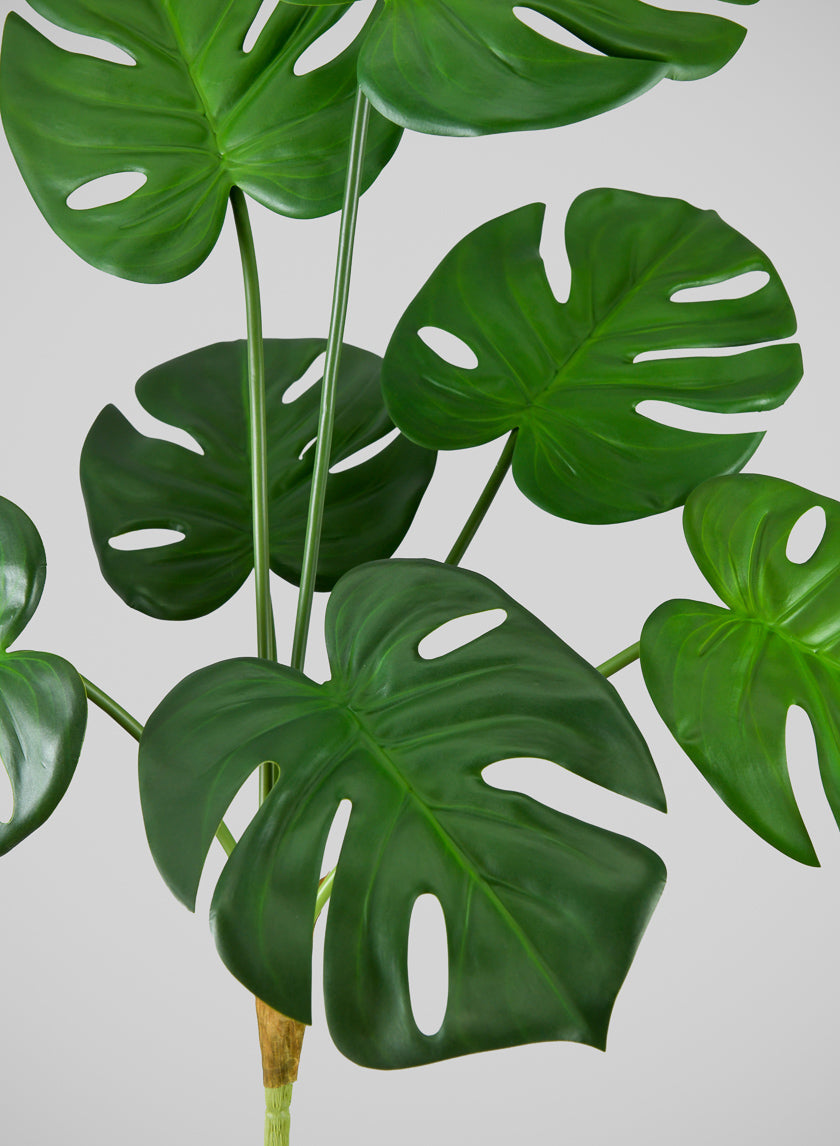 27in Long Green Monstera Leaf Spray, Case of 12