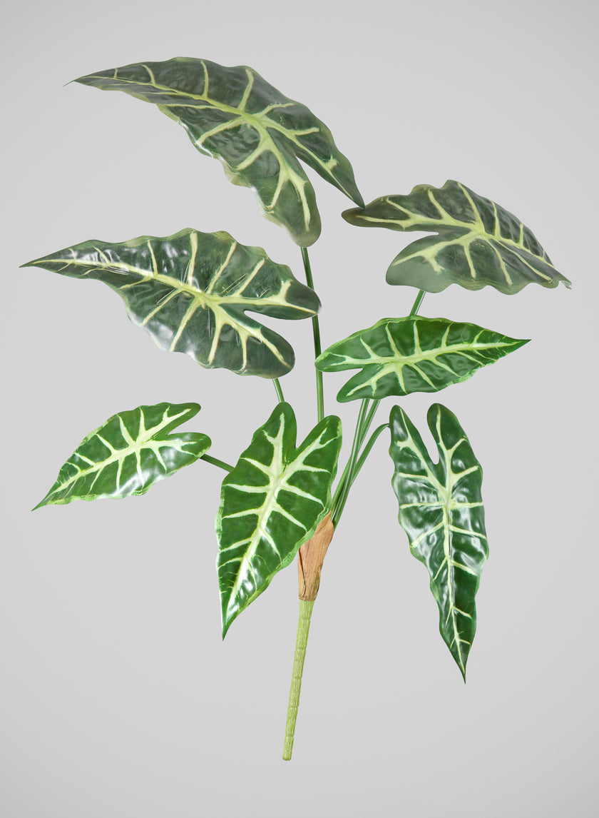 30in Long Alocasia Polly Spray, Case of 12