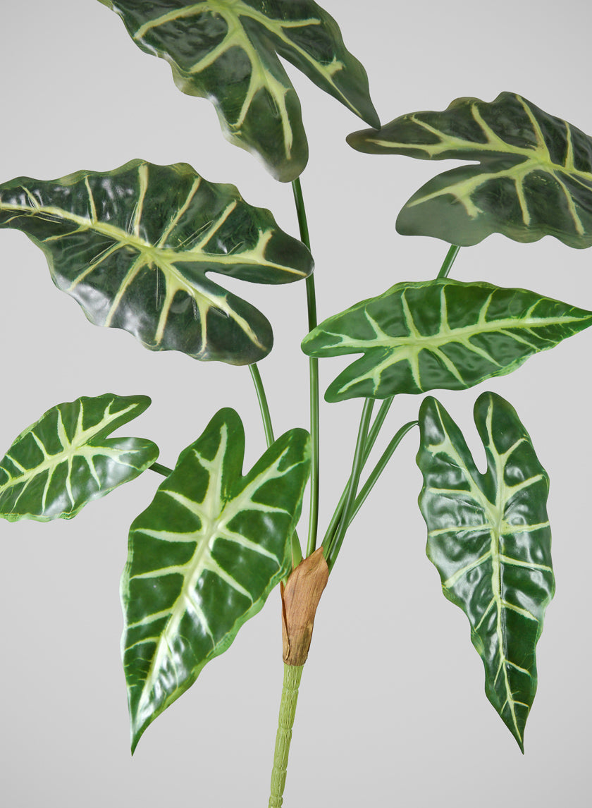 30in Long Alocasia Polly Spray, Case of 12