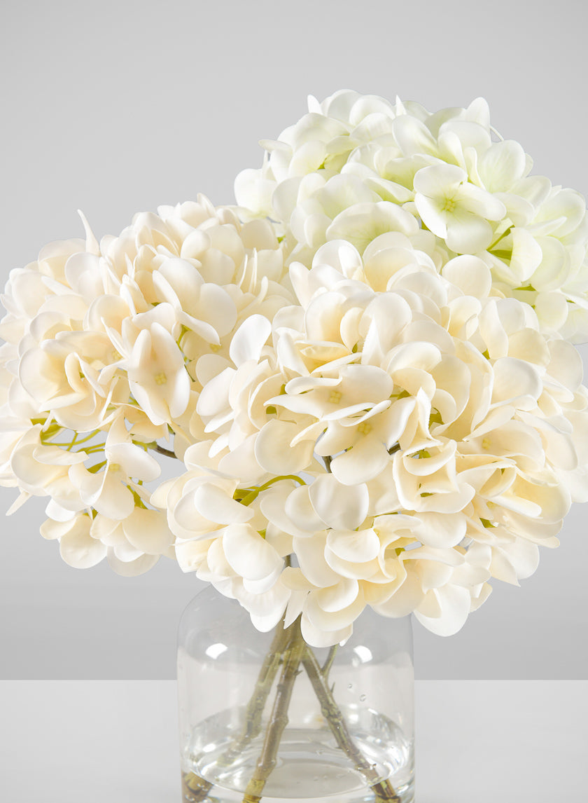 14in Long White Hydrangea in Clear Glass Vase