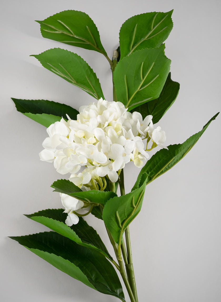 32in Long White Hydrangea Spray, Case of 6