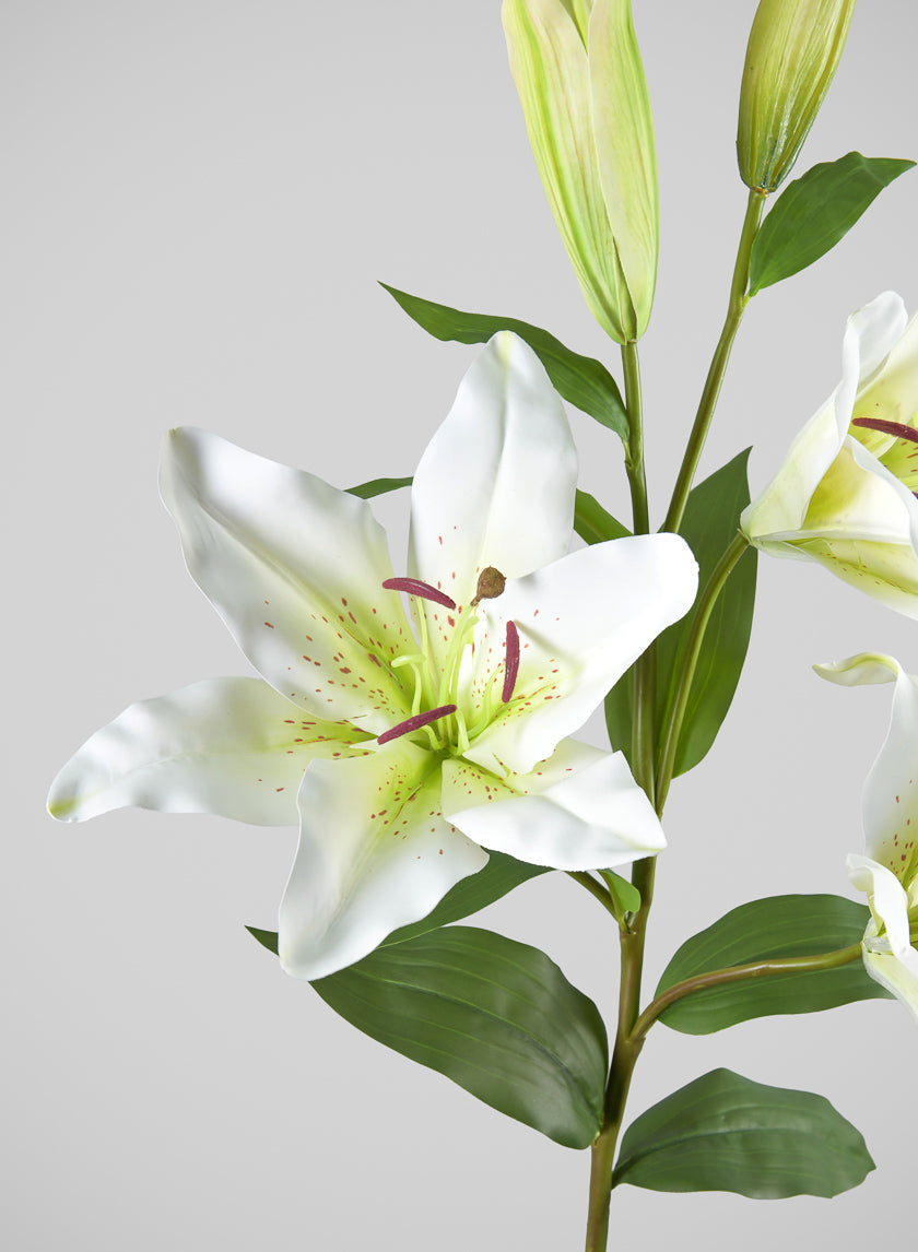 35in Long Cream Asiatic Lily Spray, Case of 6
