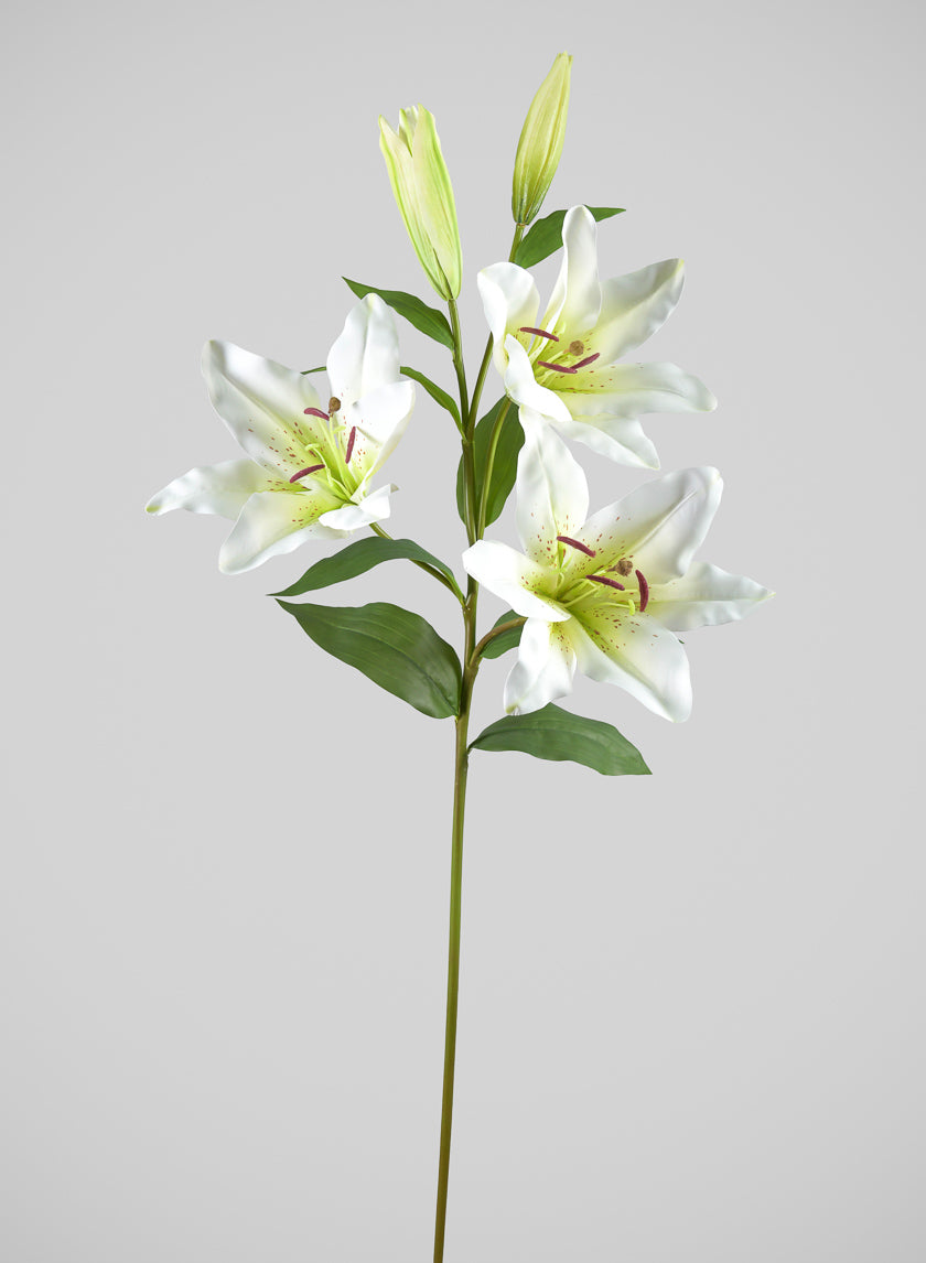 35in Long Cream Asiatic Lily Spray, Case of 6