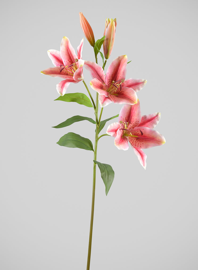 35in Long Mauve Asiatic Lily Spray, Case of 6