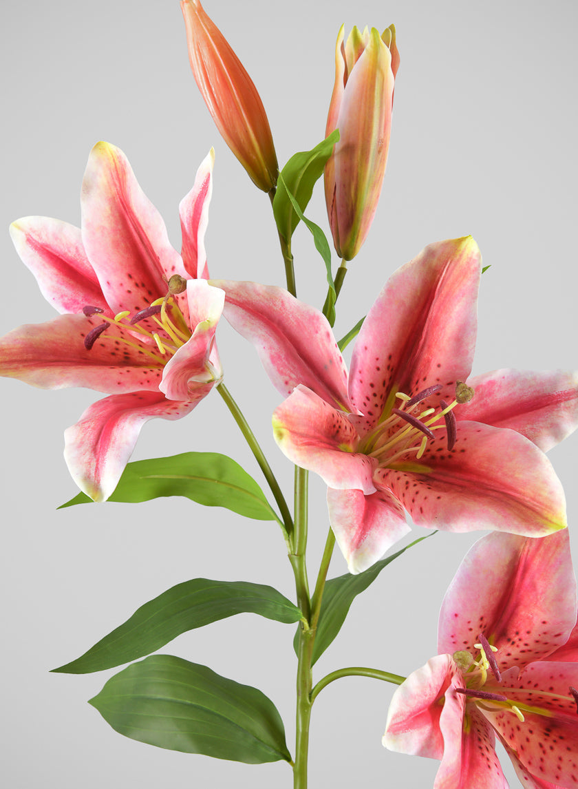 35in Long Mauve Asiatic Lily Spray, Case of 6