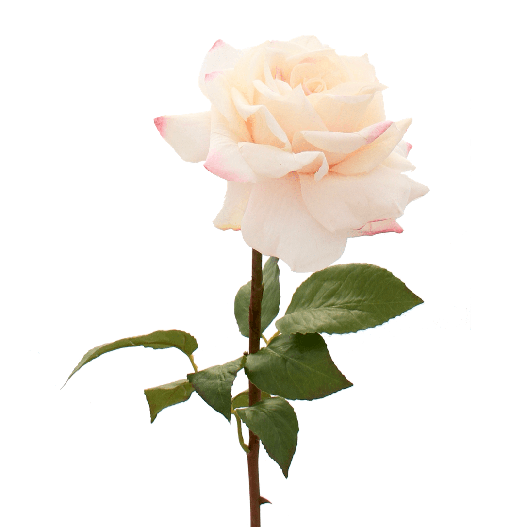 Artificial Blush Pink Tea Rose