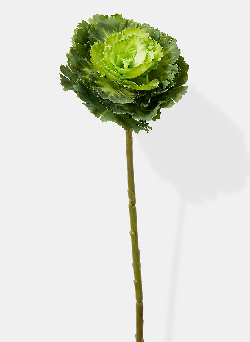 15in Long Green Ornamental Cabbage Pick