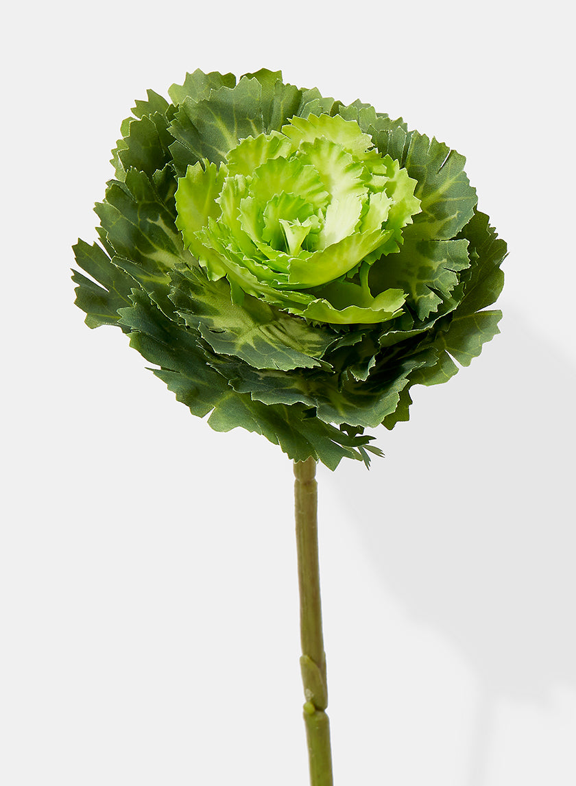 15in Long Green Ornamental Cabbage Pick