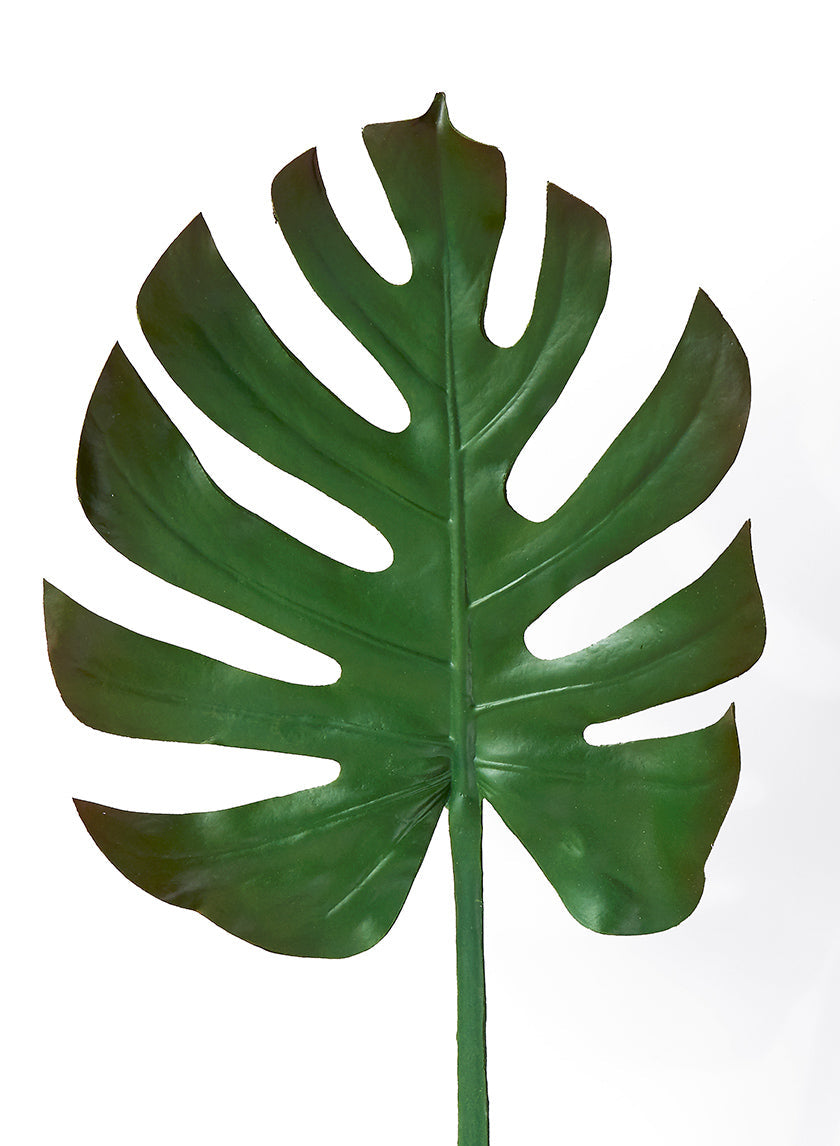 29in Long Turtle Leaf Spray