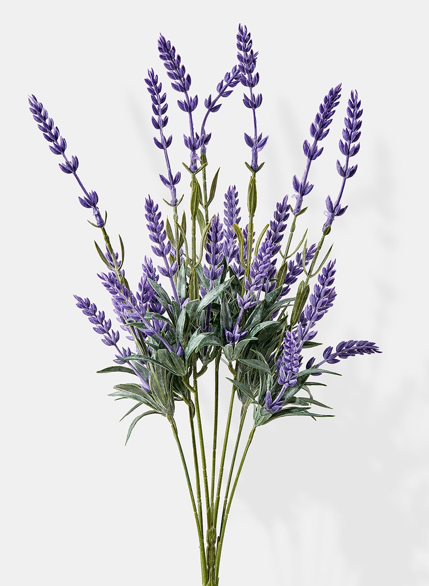 19in Long Lavender Bunch