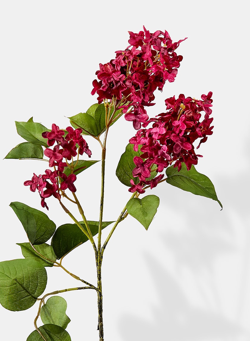 30in Long Burgundy Lilac Spray, Case of 12