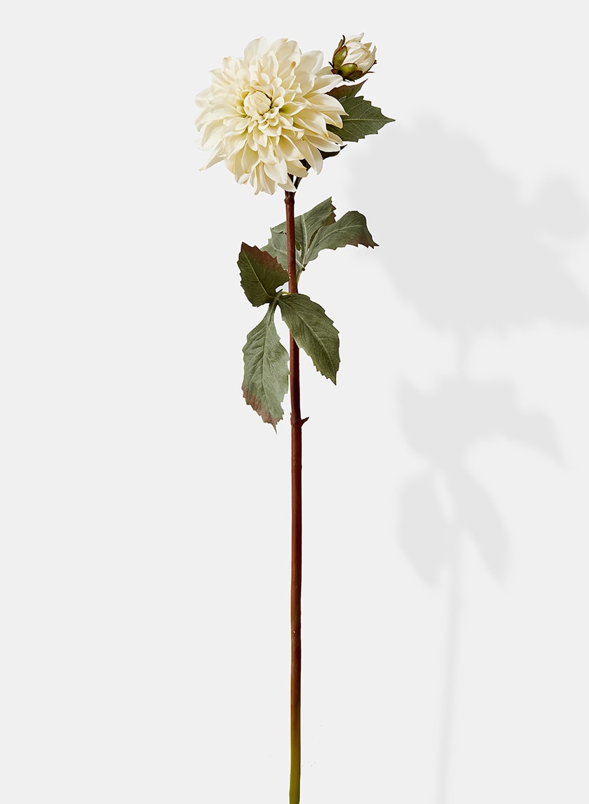 33in Long Cream Dahlia