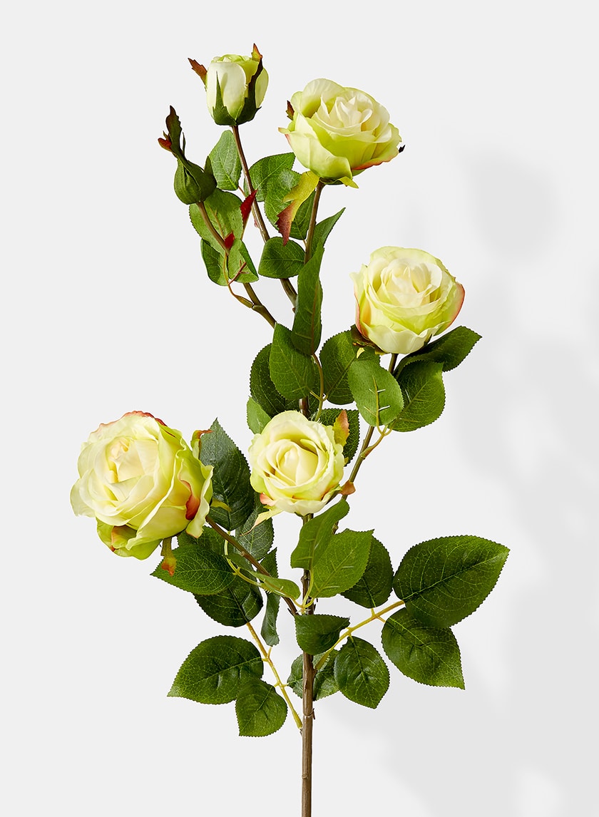 38in Long Cream Hui Rose Spray