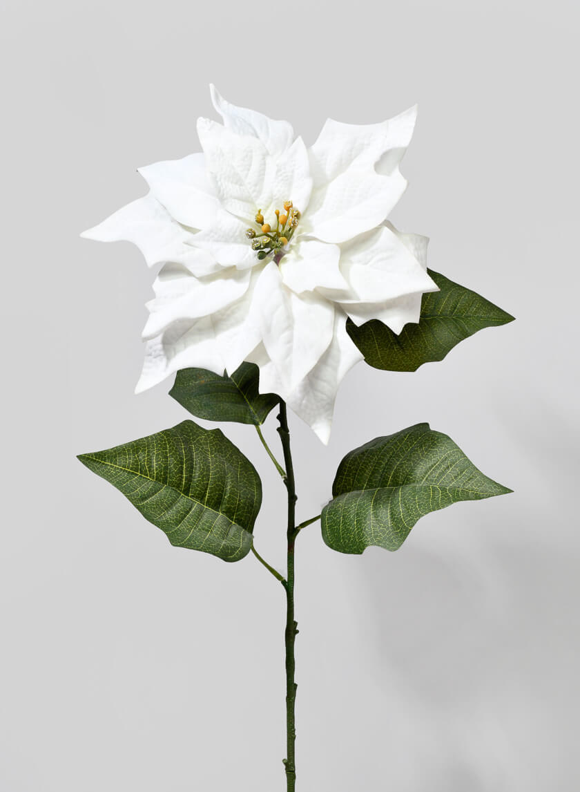 32in Long Cream Poinsettia Stem