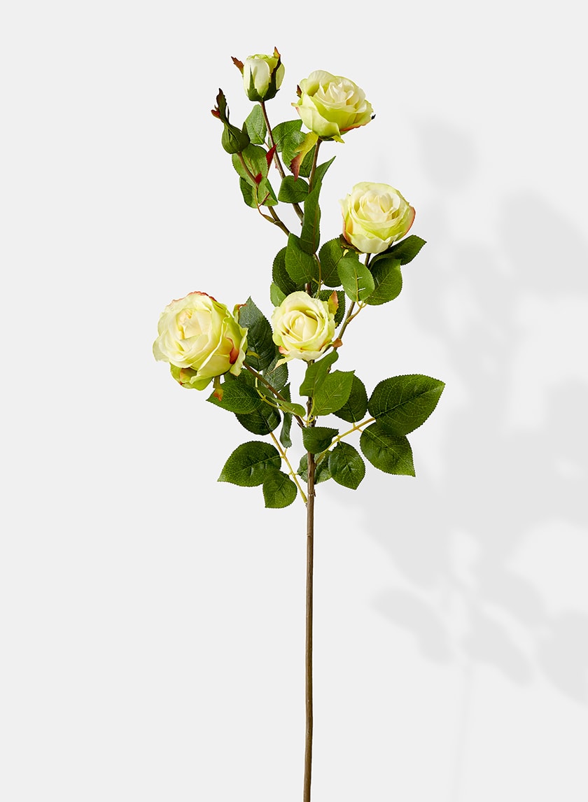 38in Long Cream Hui Rose Spray