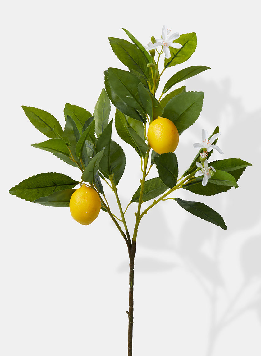 23in Long Baby Lemon Tree Pick