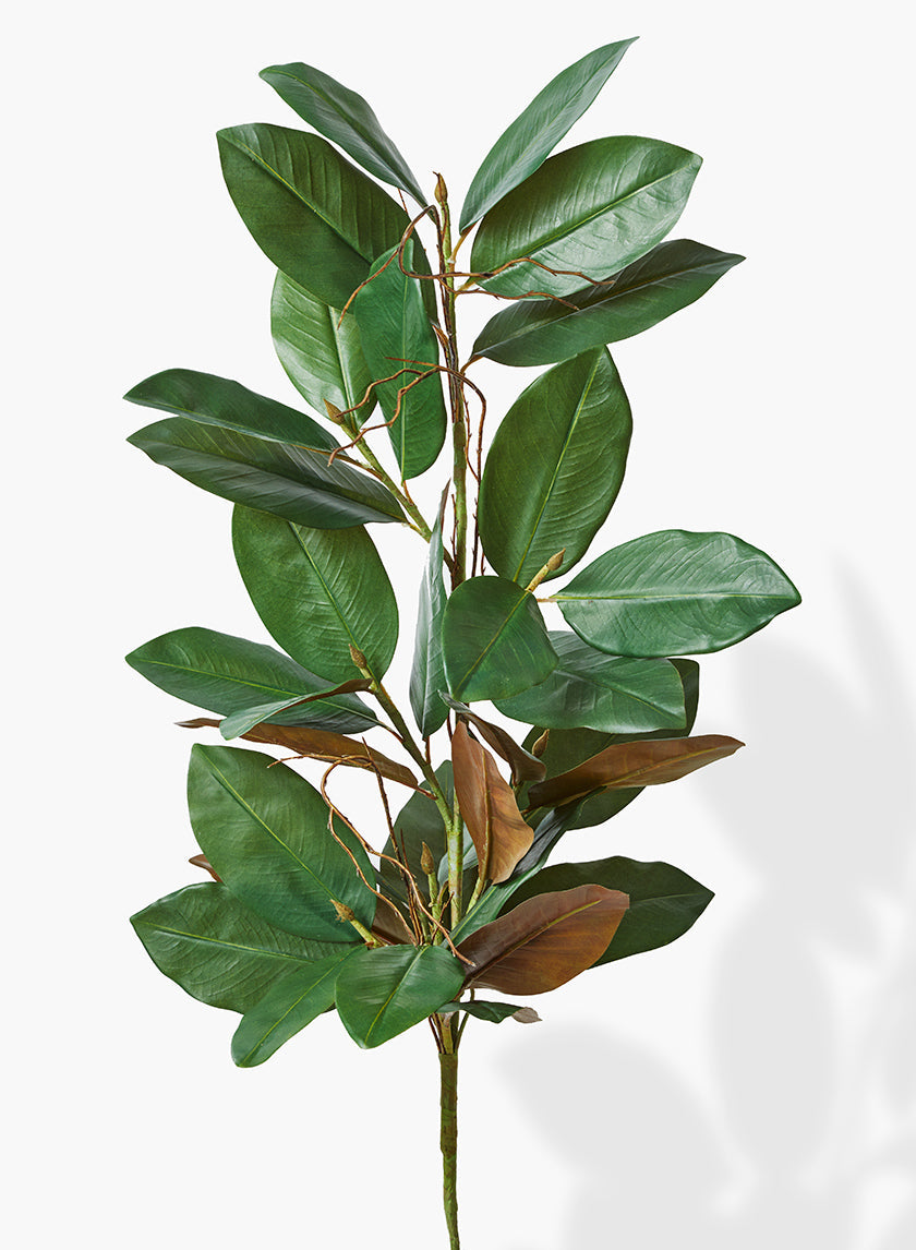 32in Long Magnolia Leaf Garland