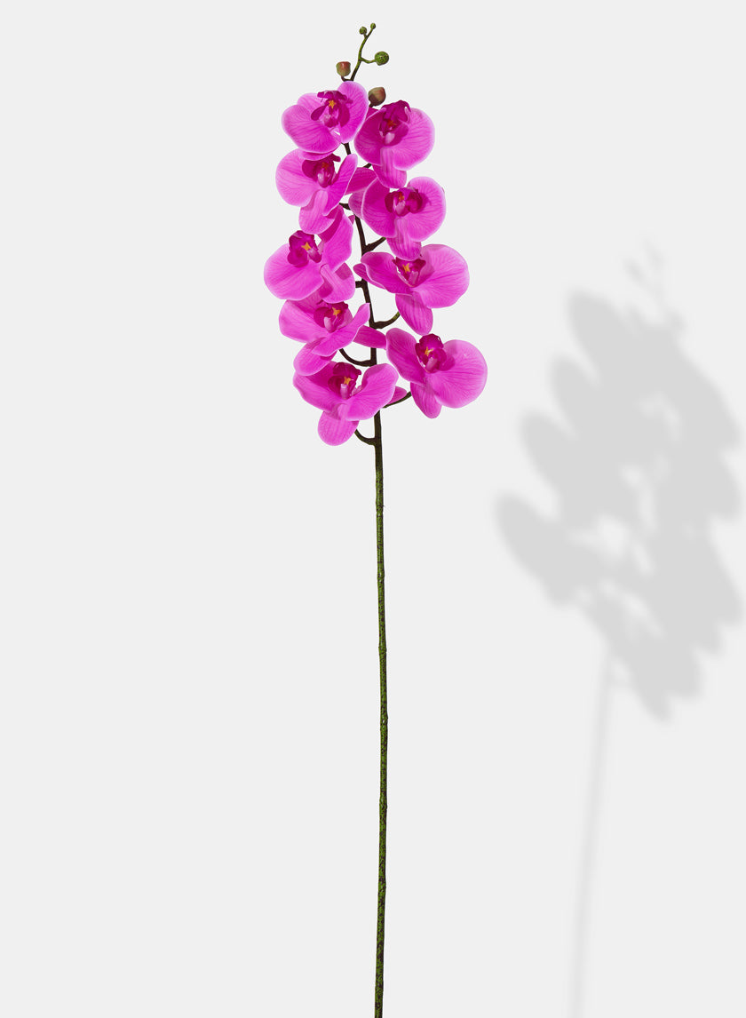 38in Long Pink Phalaenopsis Orchid