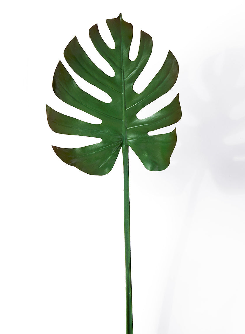 29in Long Turtle Leaf Spray