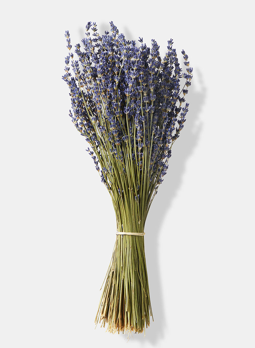 15in Long Super Blue French Lavender Bunch