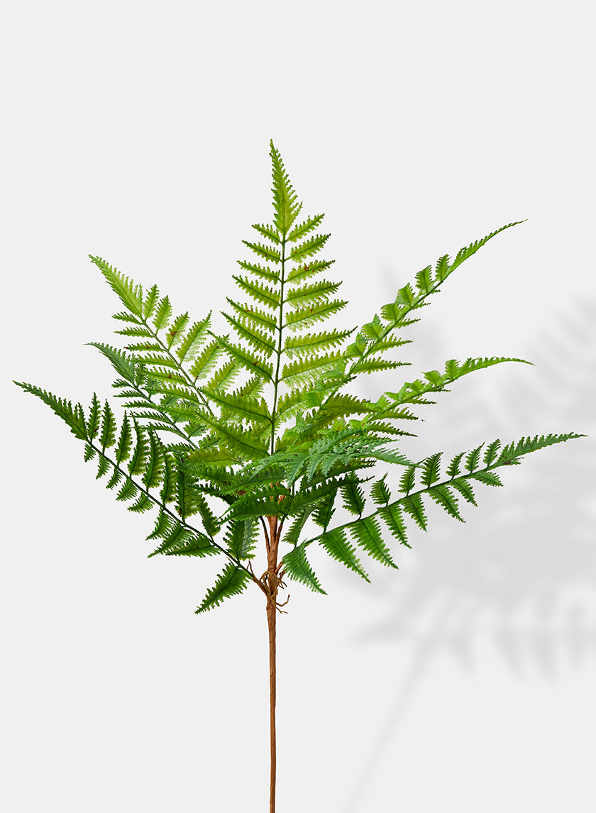 24in Long Fern Bush