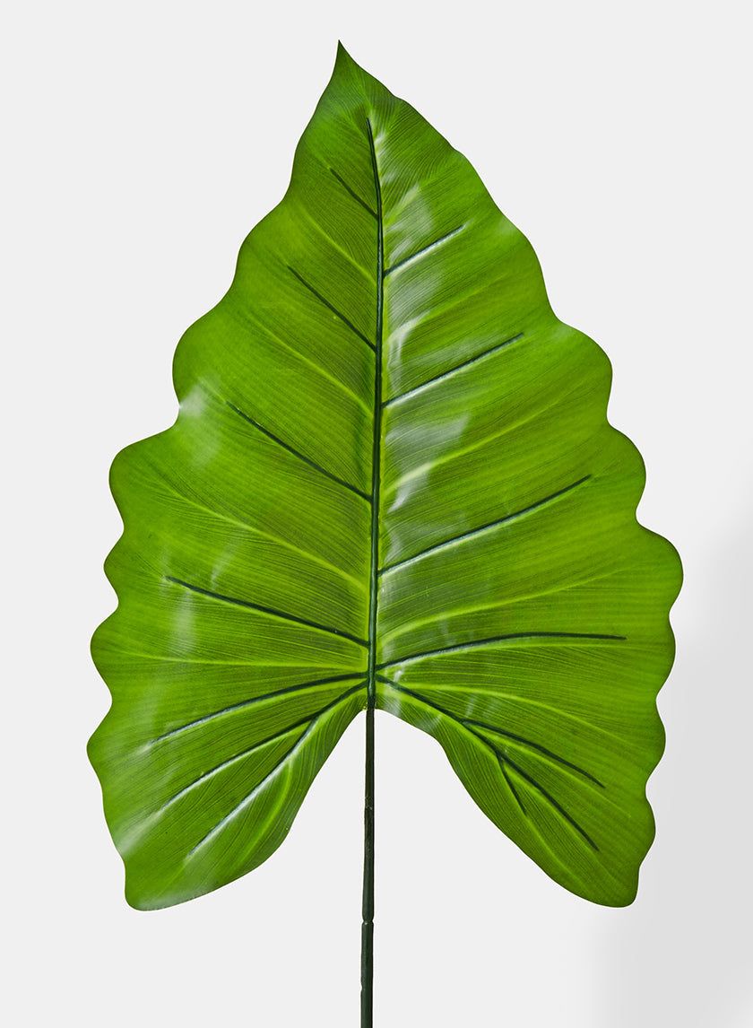 43in Long Green Princess Leaf