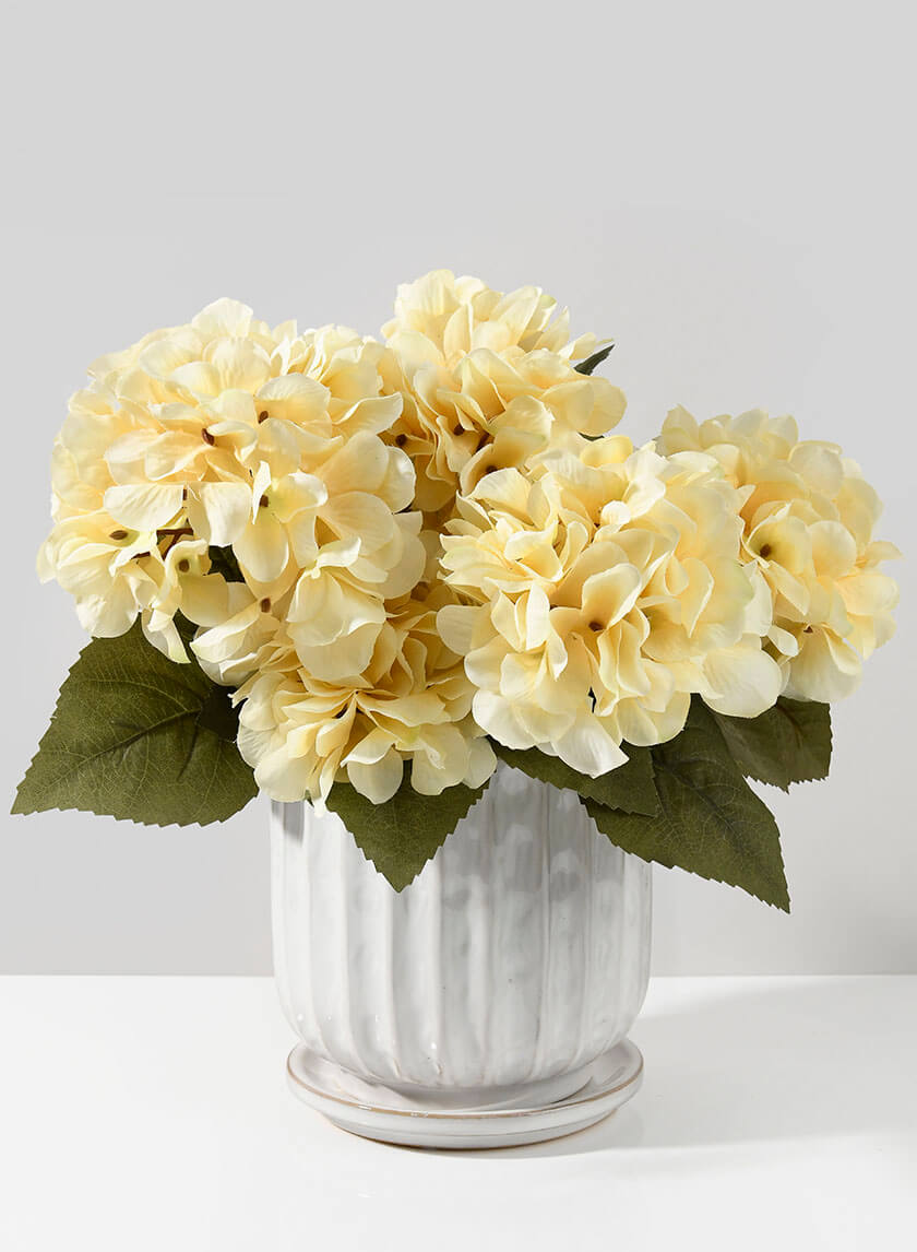 21in Long Small Cream Hydrangea Bush