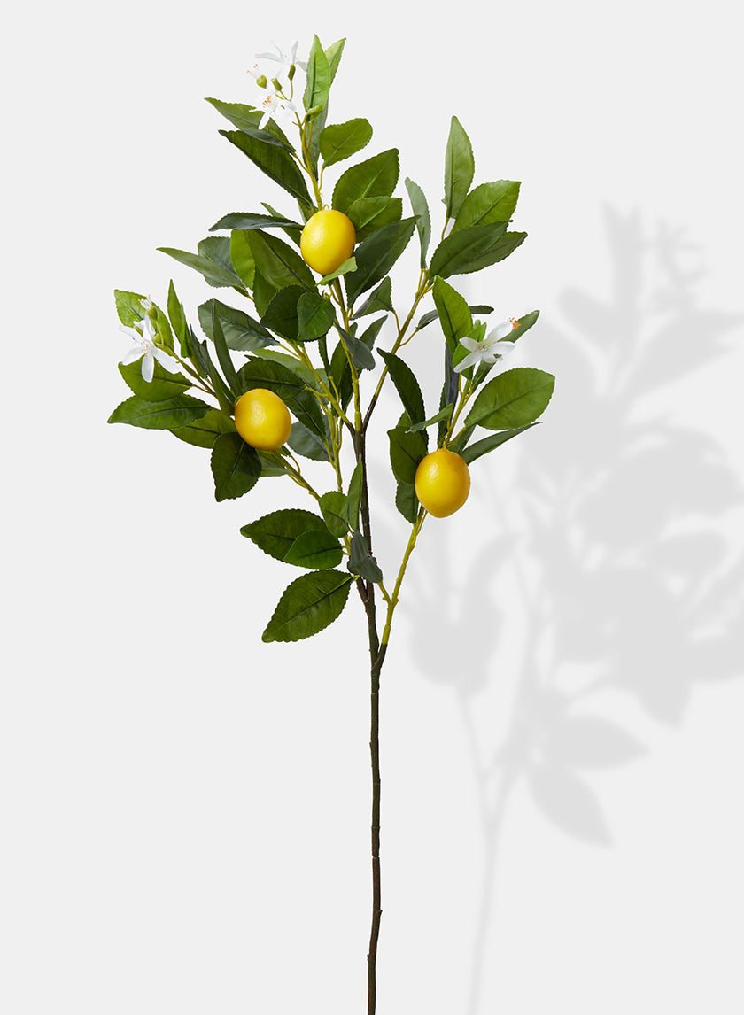 30in Long Lemon Tree Branch