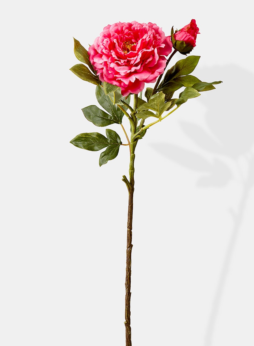 30in Long Pink Luo Yang Peony