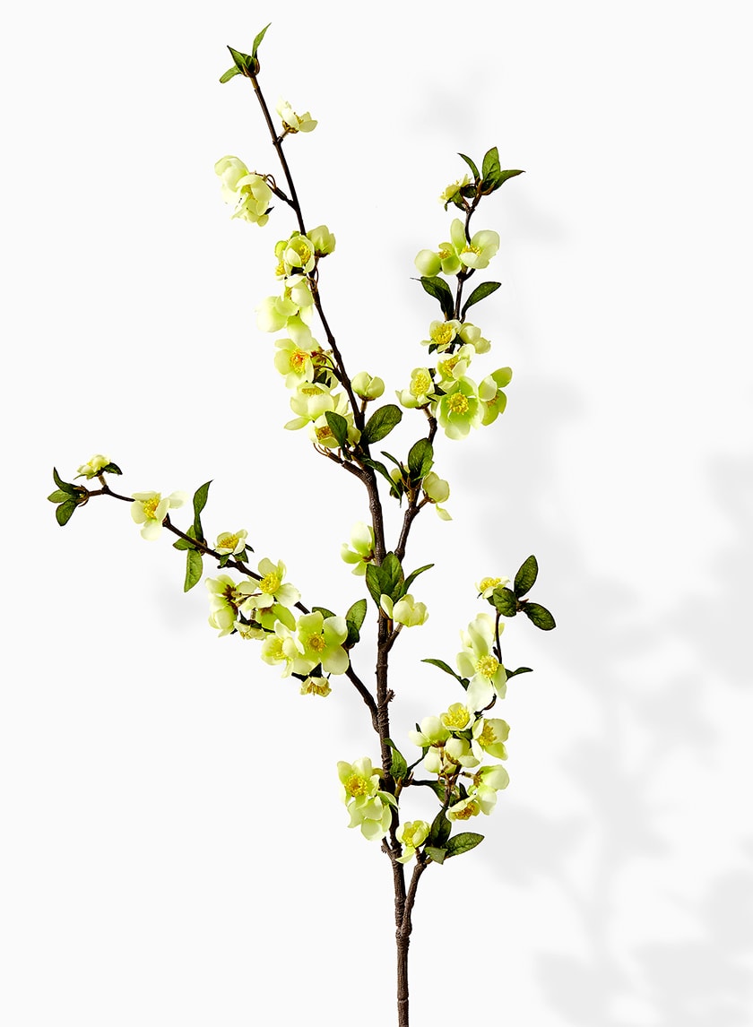 39in Long White Apple Blossom Branch, Case of 12